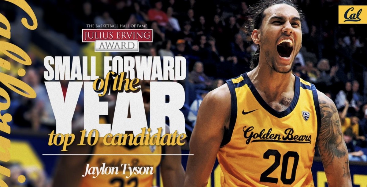 Julius Erving Award